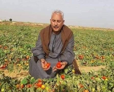 نقيب الفلاحين