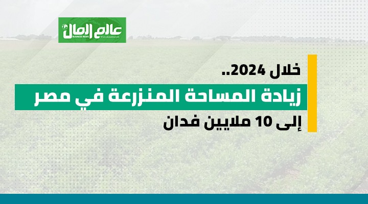 جراف يوضح انجازات الزراعة لزيادة الرقعة الزراعية خلال 2024