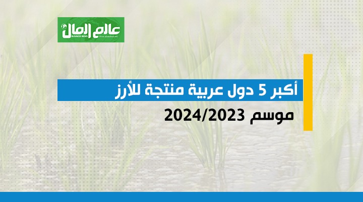 أكبر 5 دول منتجة للأرز موسم 2023/2024