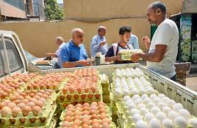 طرح بيض المائدة