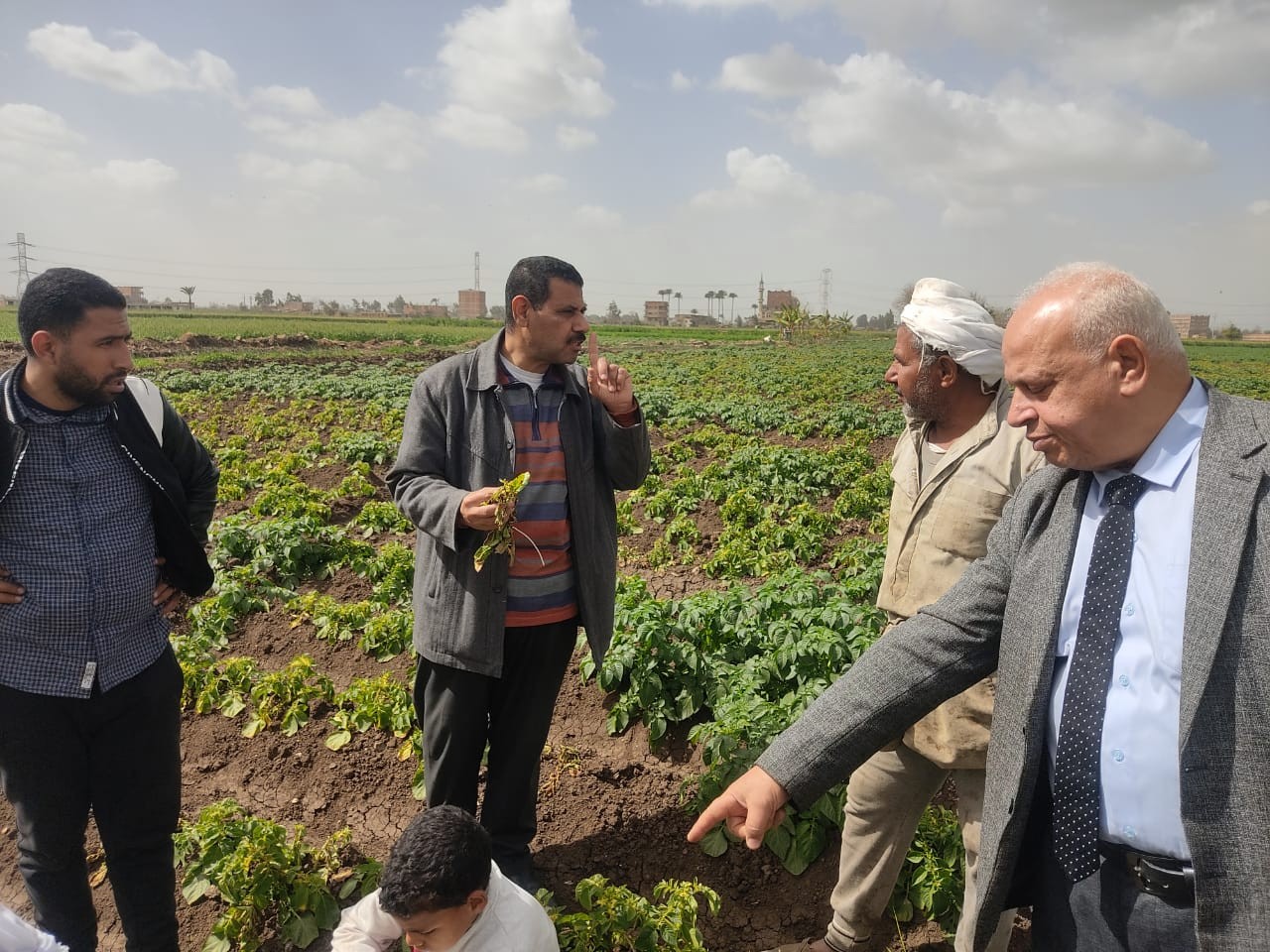 الزراعة 