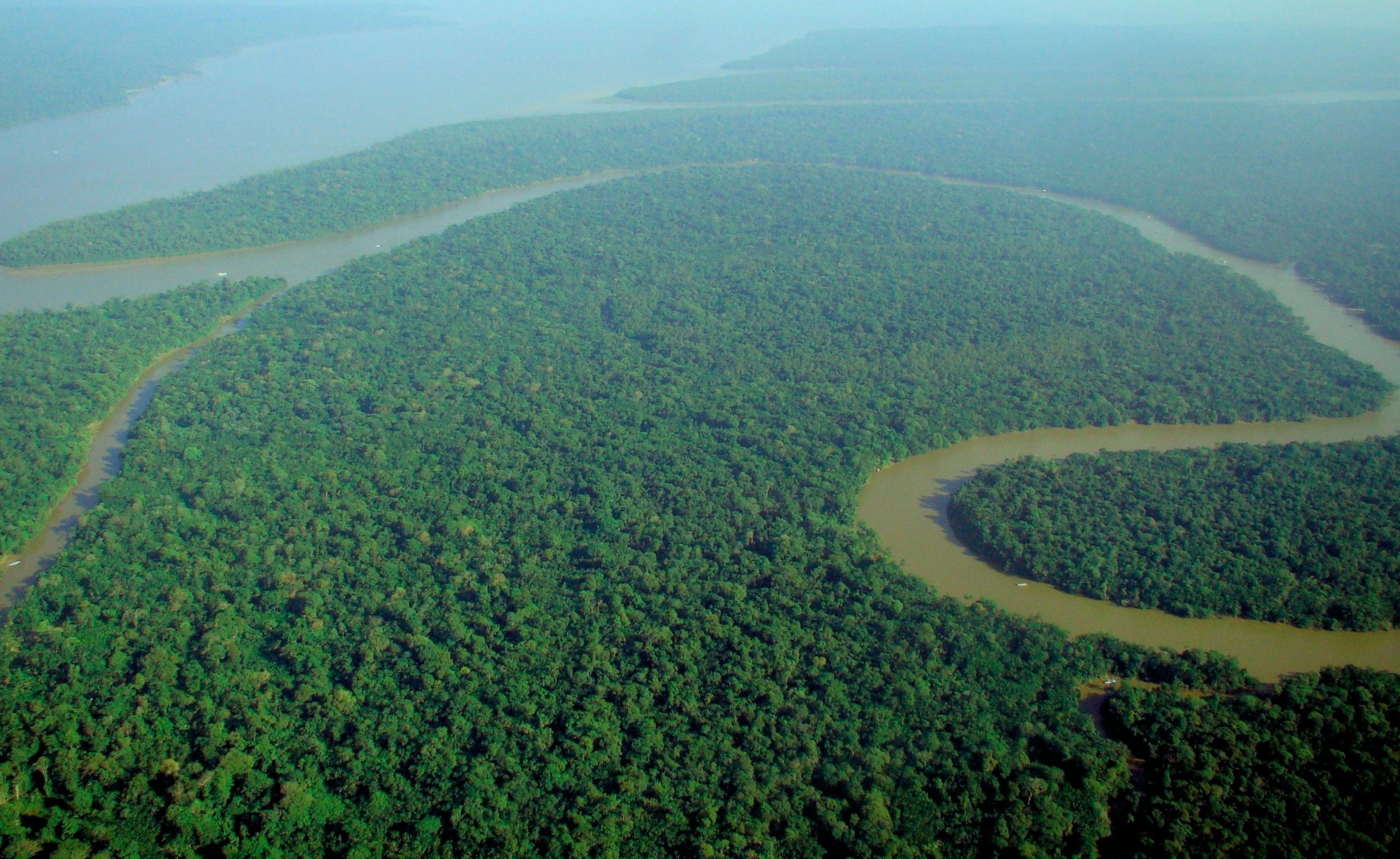 غابات الأمازون