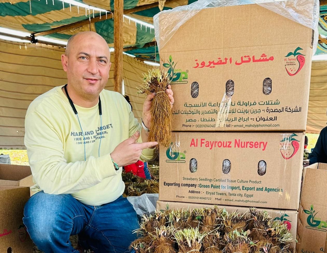 عماد مهدي المدير التنفيذي لشركة ومشاتل الفيروز