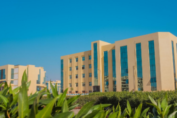 جامعات جديدة