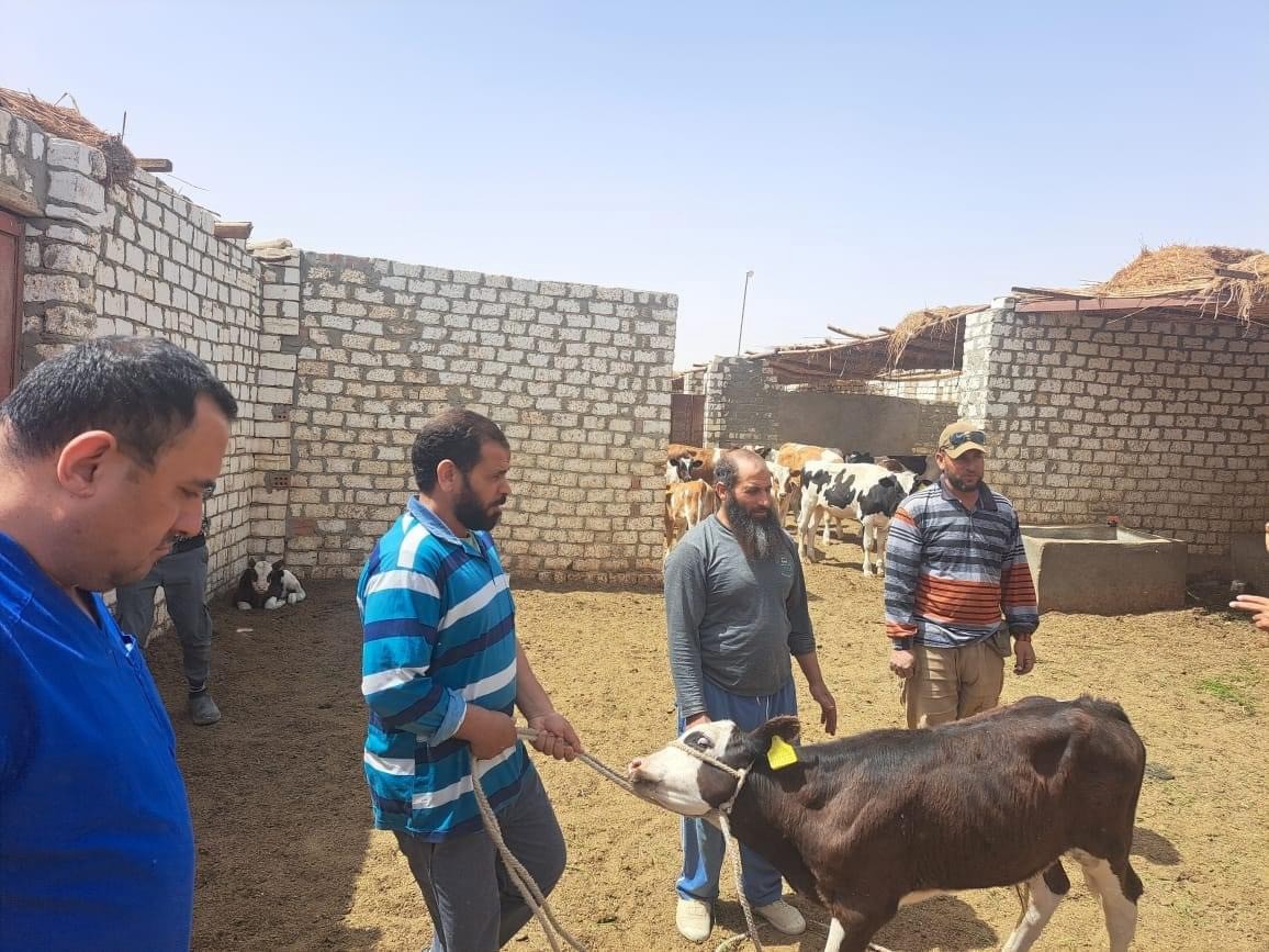 قافلة بيطرية 