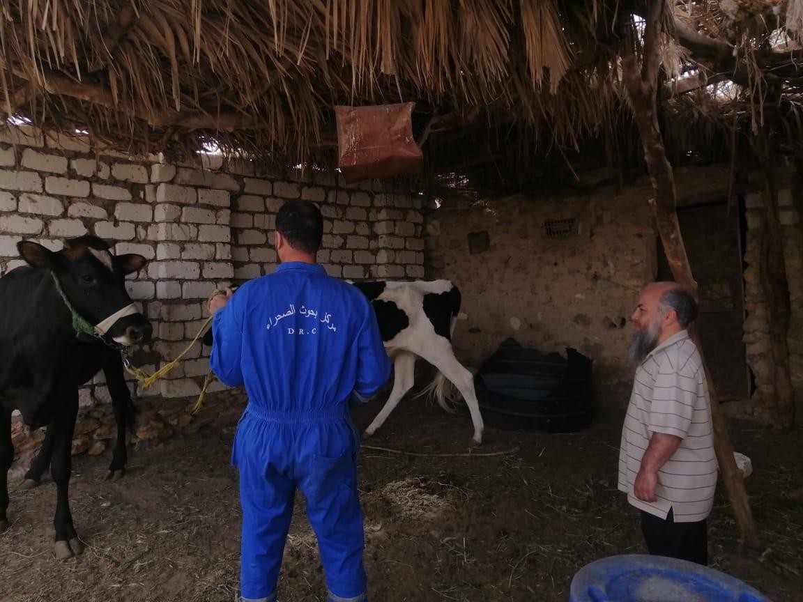 قافلة بيطرية