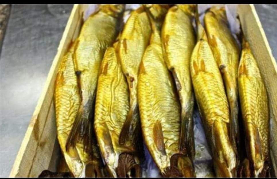 سعر الرنجة اليوم 