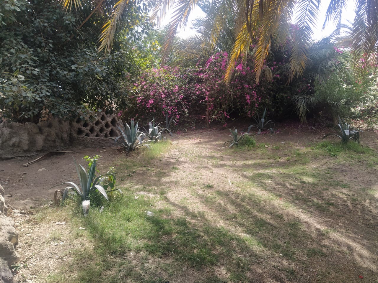 حديقة الأسماك 