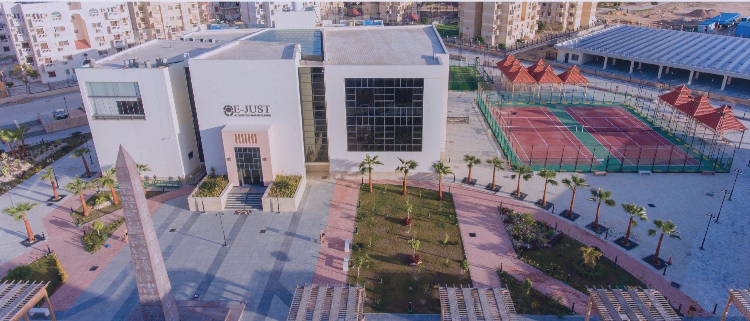 الجامعة اليابانية