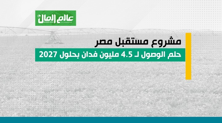 مشروع مستقبل مصر