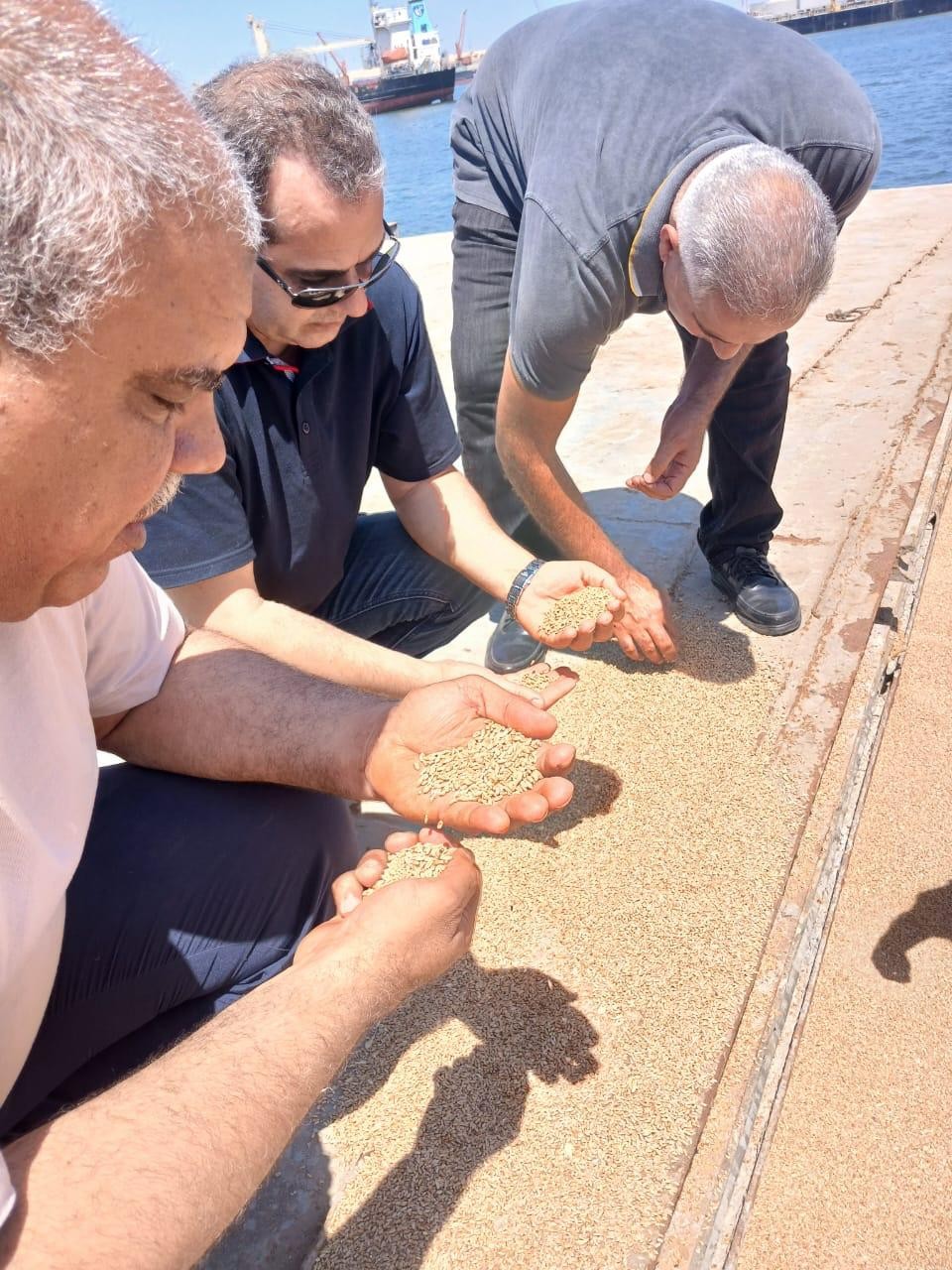 الزراعة تتابع الصادرات والواردات الزراعية 