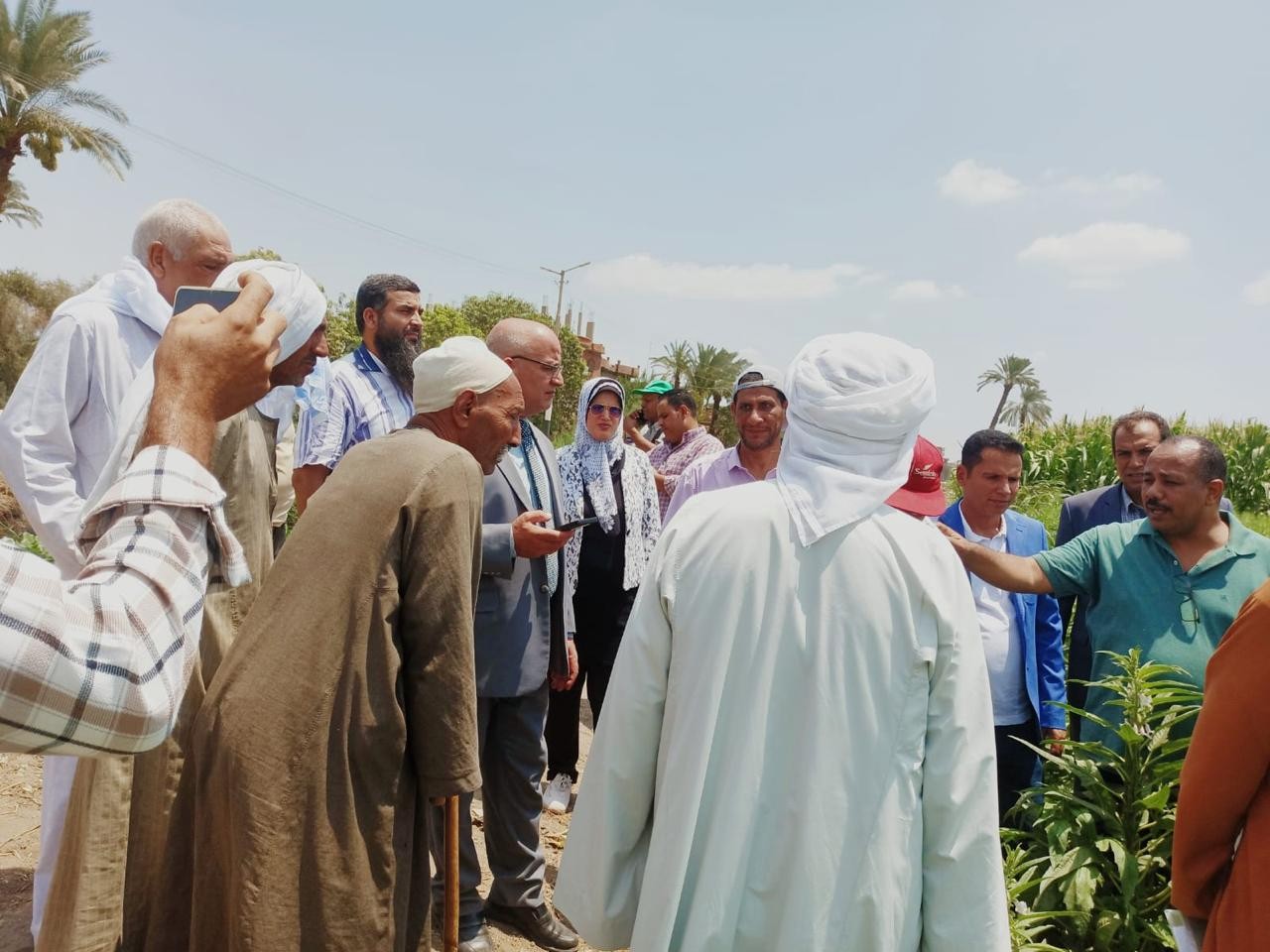 الحقول الإرشادية 