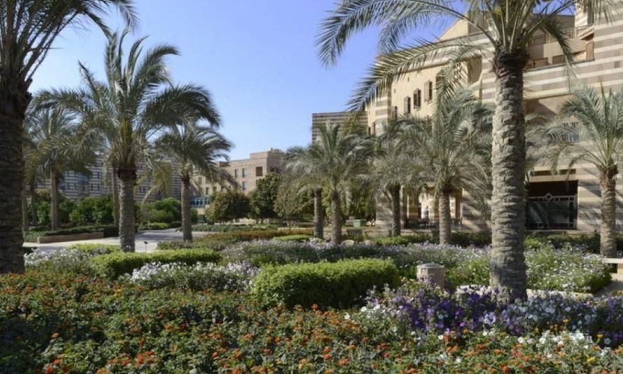 الجامعة الأمريكية