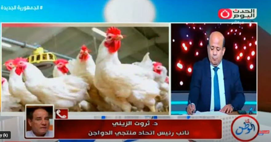 الدواجن