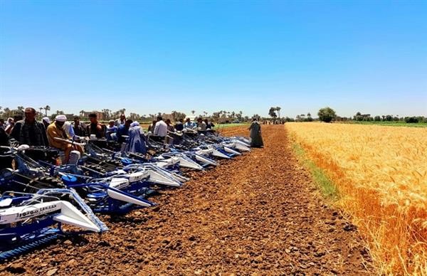 برنامج دعم صغار المزارعين

