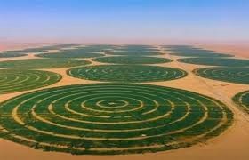 الدلتا الجديدة