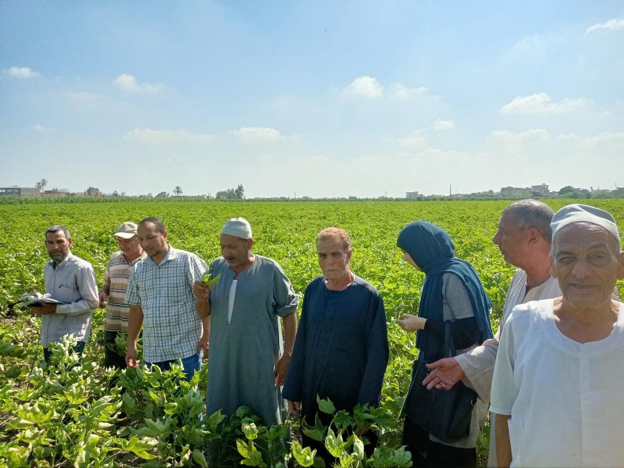 الإرشاد الزراعى 