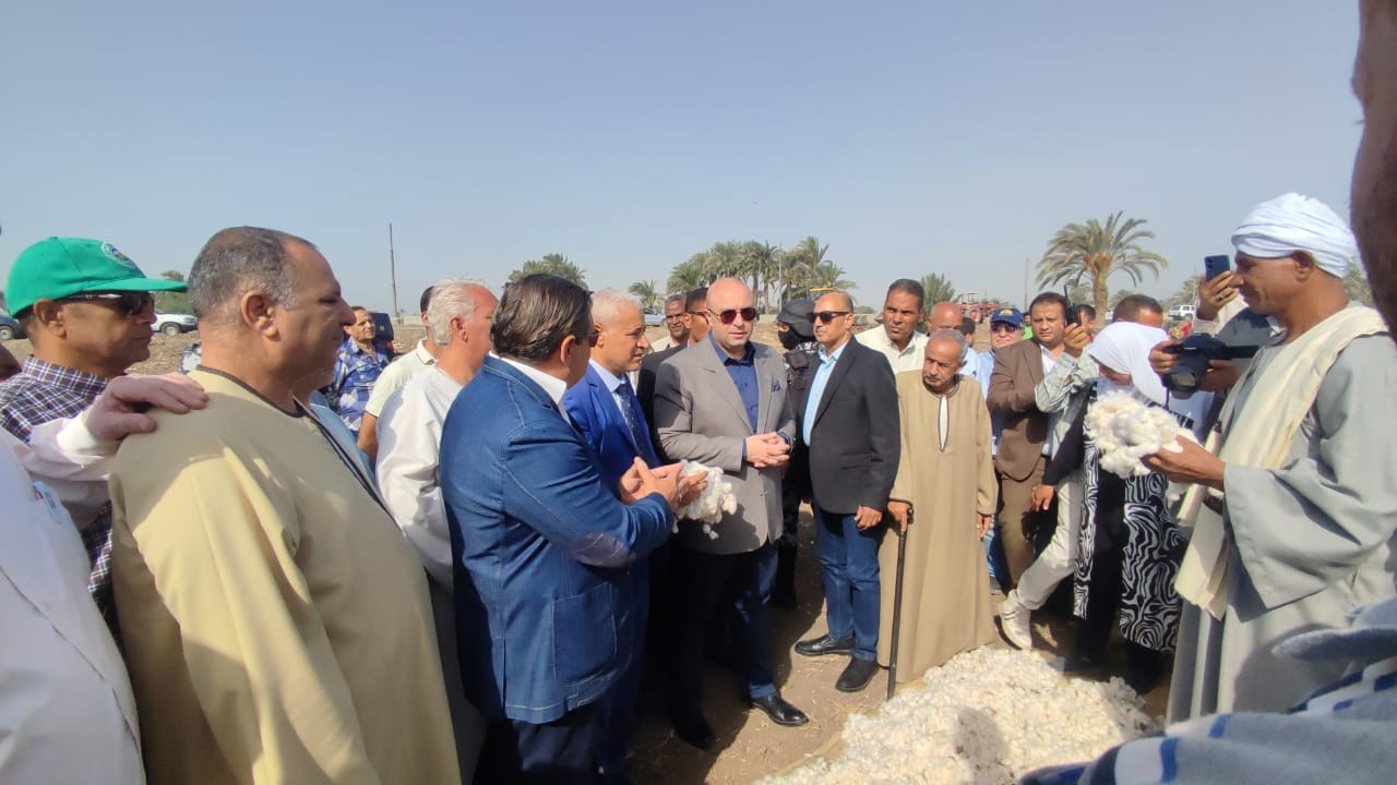 بدء موسم جنى القطن فى الصعيد