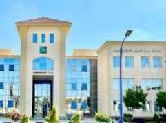 جامعة برج العرب التكنولوجية