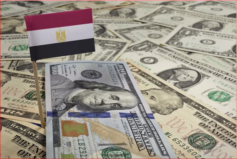 تحويلات المصريين فى الخارج