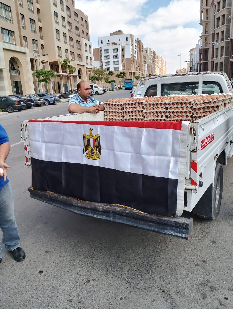 منافذ الزراعة