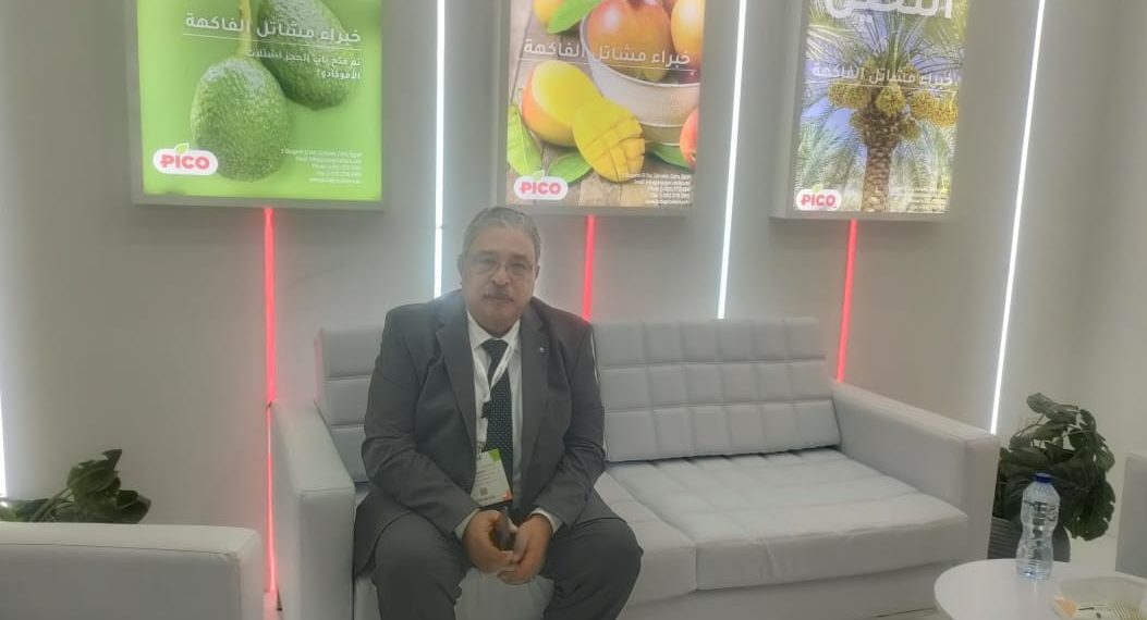 المهندس محمود رفعت