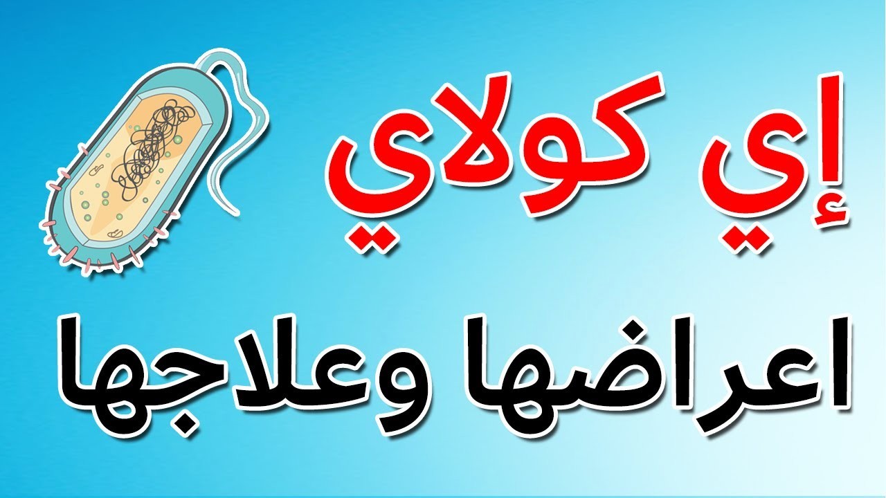بكتيريا إيكولاي