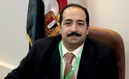 الدكتور محمد عفيفي سيف