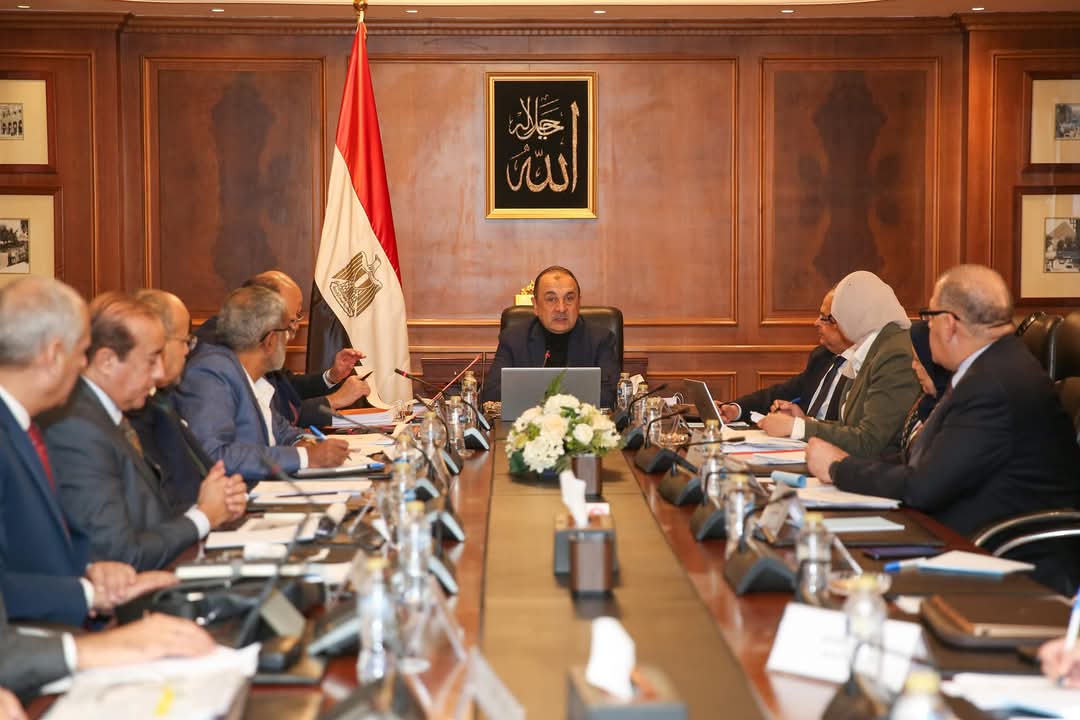 وزير قطاع الأعمال 