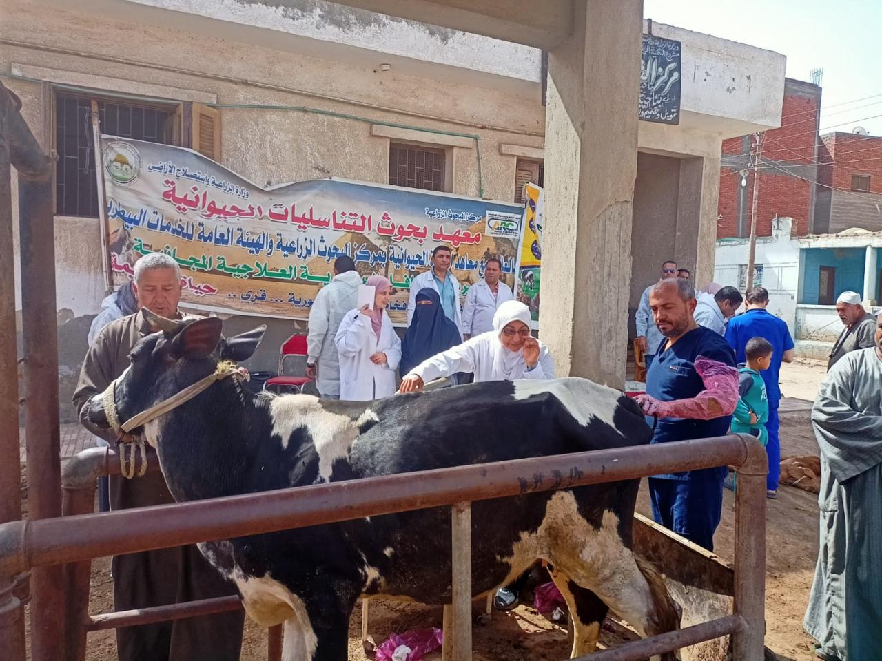 حصاد معهد التناسليات الحيوانية خلال 2024