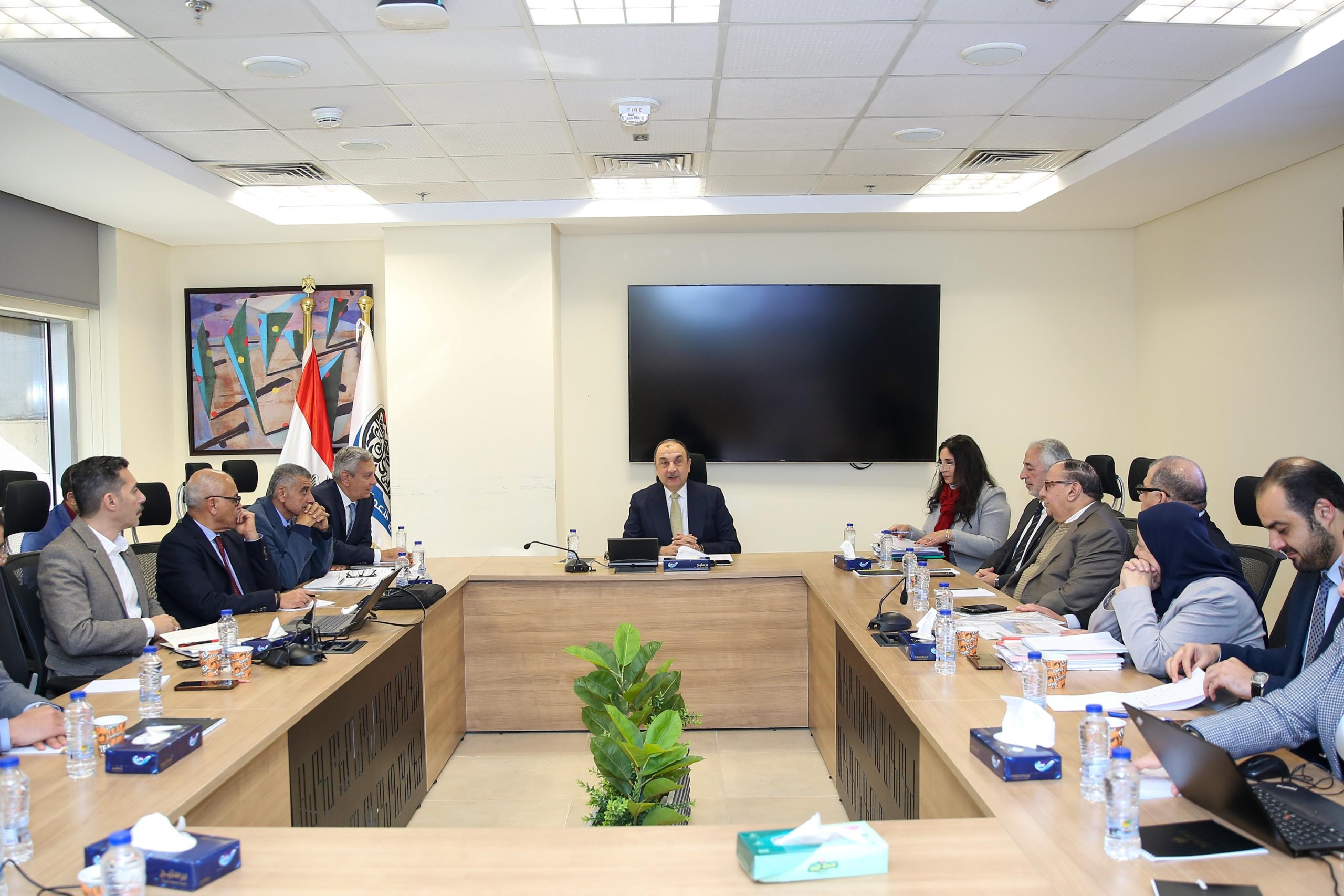 وزير قطاع الأعمال العام،