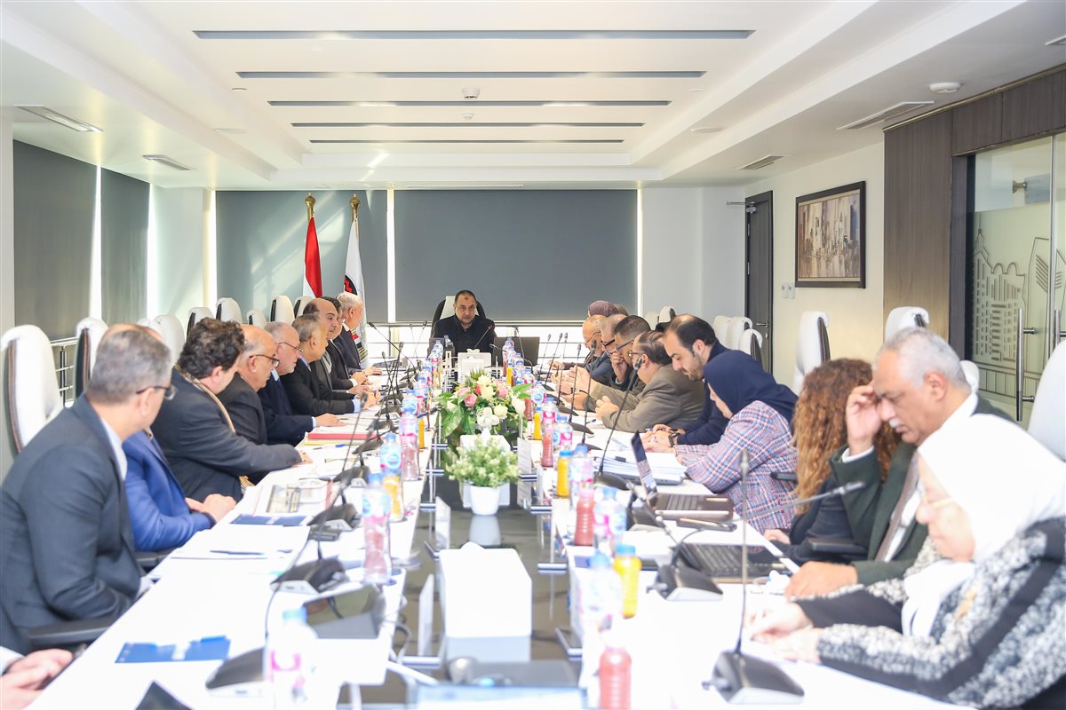 وزير قطاع الأعمال 