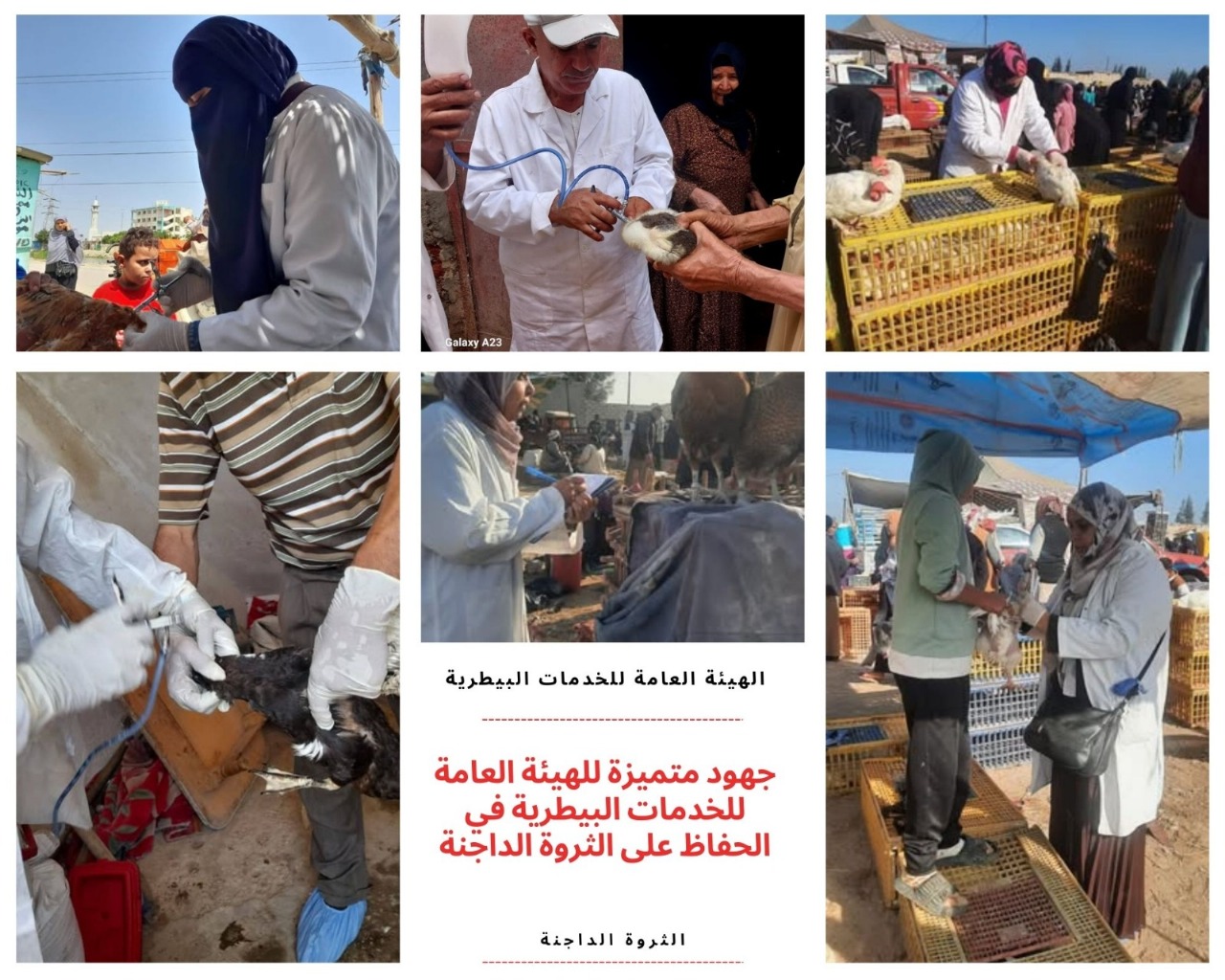 حصاد الخدمات البيطرية