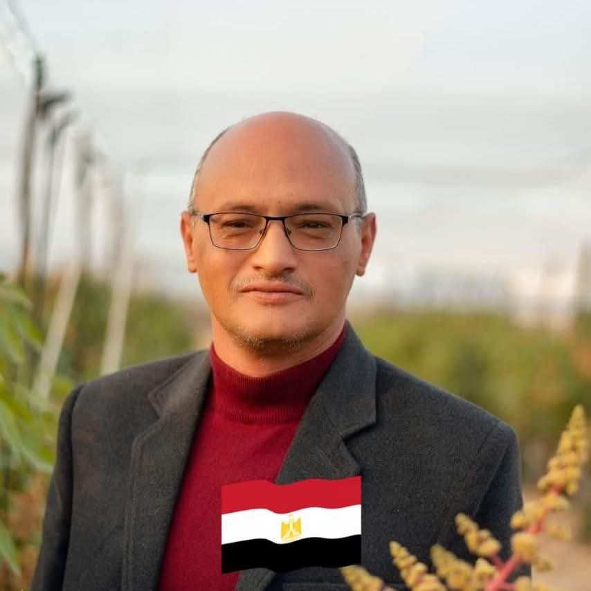 المهندس أشرف الانصارى