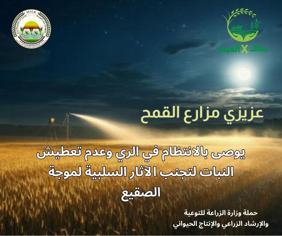 توصيات لتجنب آثار الصقيع 