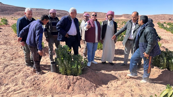تنمية جنوب سيناء
