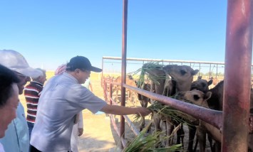 بحوث الصحراء والوفد الصينى 