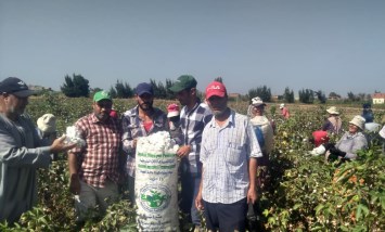 الإرشاد الزراعى