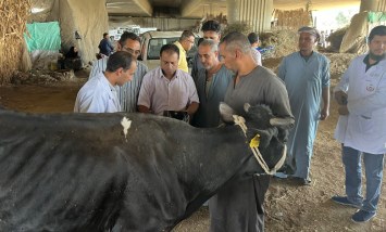 القوافل البيطرية 