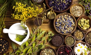 النباتات الطبية والعطرية
