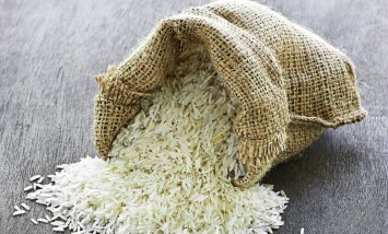 الأرز 