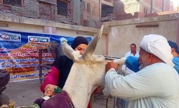 القوافل البيطرية