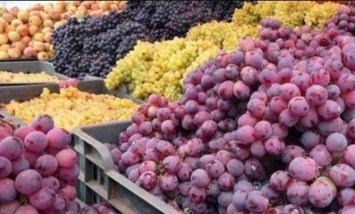 تصدير العنب 