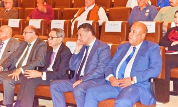 ايمن العشرى