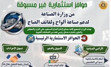  الحوافز الاستثمارية