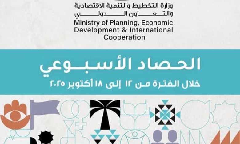 حصاد الجولة الخارجية لوزيرة التخطيط
