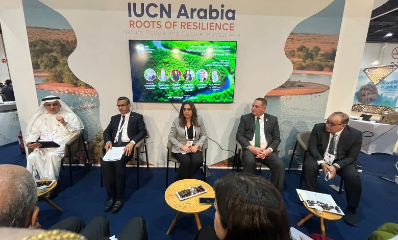 وزيرة التنمية المحلية