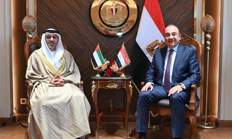 وزير قطاع الأعمال 