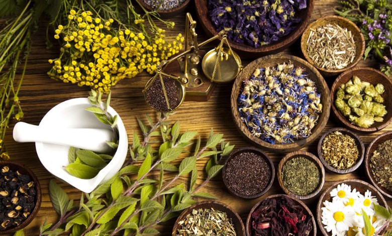 النباتات الطبية والعطرية
