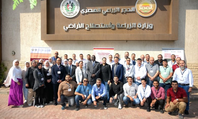  التدريب الوطني